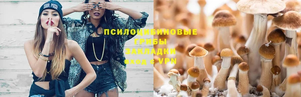 бошки Алексеевка