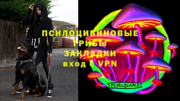 бошки Алексеевка