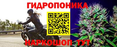 spice Бийск