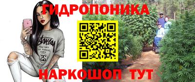 бошки Берёзовский