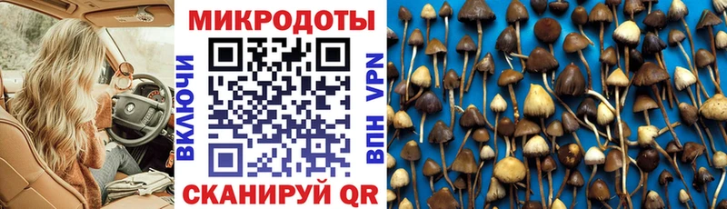 Галлюциногенные грибы MAGIC MUSHROOMS  дарк нет телеграм  Зерноград  мега tor 