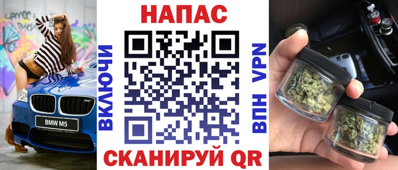 мориарти клад  Зерноград  Бошки марихуана Ganja 